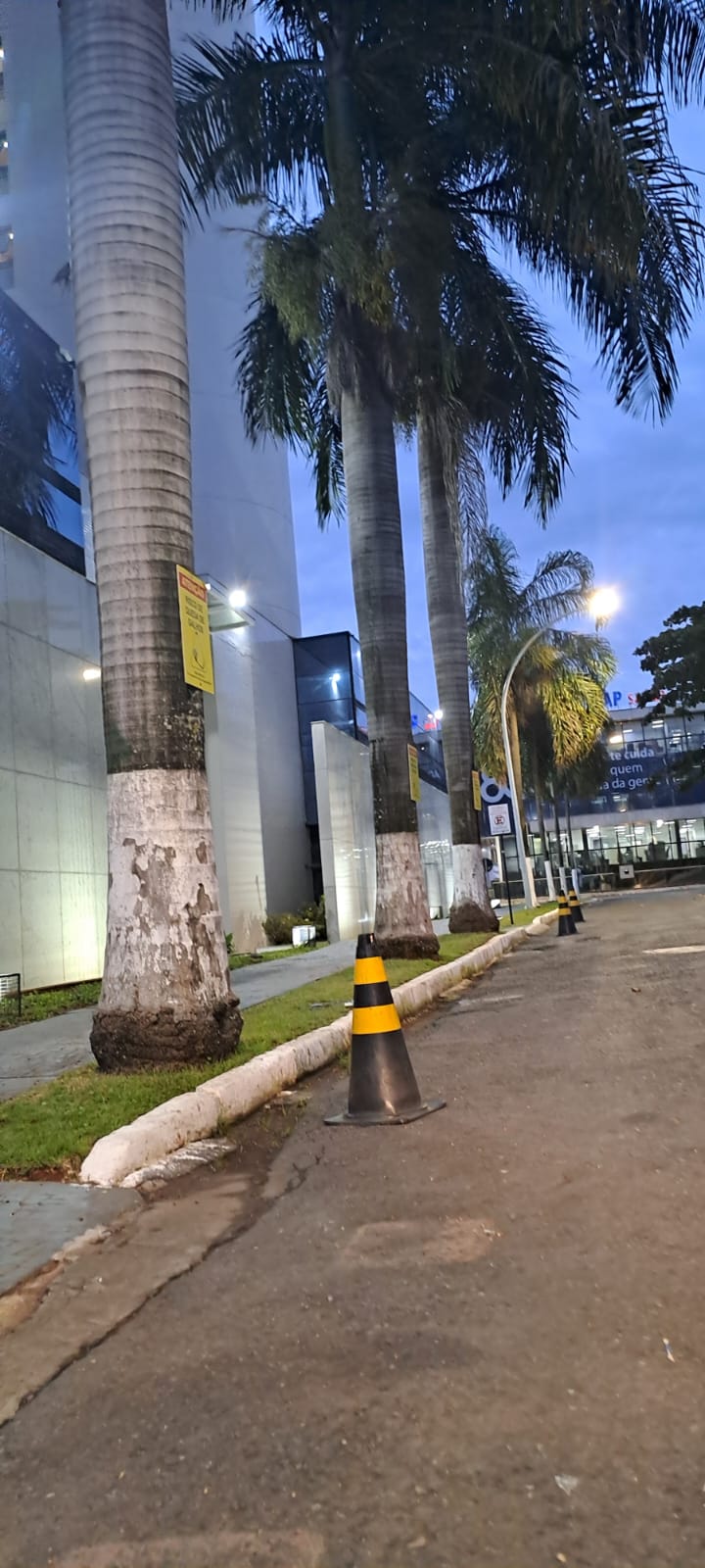 Foto de Antonio Ribeiro Duarte